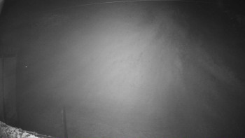 Snímek 8.11.2025 v 02:46