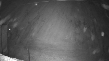 Snímek 13.11.2025 v 03:02