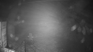 Ski areál Mezihoří Chomutov - Velká sjezdovka - 7.12.2025 v 00:01 Ski areál Mezihoří Chomutov - Velká sjezdovka - 7.12.2025 v 00:01