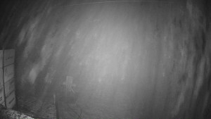 Ski areál Mezihoří Chomutov - Velká sjezdovka - 7.12.2025 v 00:31 Ski areál Mezihoří Chomutov - Velká sjezdovka - 7.12.2025 v 00:31