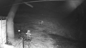 Ski areál Mezihoří Chomutov - Velká sjezdovka - 7.12.2025 v 19:31 Ski areál Mezihoří Chomutov - Velká sjezdovka - 7.12.2025 v 19:31