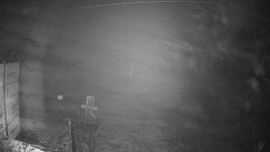 Ski areál Mezihoří Chomutov - Velká sjezdovka - 7.12.2025 v 21:31 Ski areál Mezihoří Chomutov - Velká sjezdovka - 7.12.2025 v 21:31