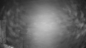 Ski areál Mezihoří Chomutov - Velká sjezdovka - 7.12.2025 v 22:31 Ski areál Mezihoří Chomutov - Velká sjezdovka - 7.12.2025 v 22:31