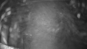 Ski areál Mezihoří Chomutov - Velká sjezdovka - 13.12.2025 v 19:01 Ski areál Mezihoří Chomutov - Velká sjezdovka - 13.12.2025 v 19:01