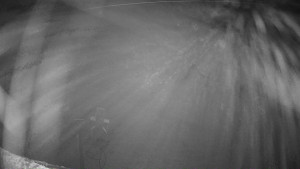 Ski areál Mezihoří Chomutov - Velká sjezdovka - 13.12.2025 v 19:46 Ski areál Mezihoří Chomutov - Velká sjezdovka - 13.12.2025 v 19:46