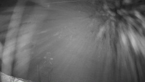 Ski areál Mezihoří Chomutov - Velká sjezdovka - 13.12.2025 v 20:16 Ski areál Mezihoří Chomutov - Velká sjezdovka - 13.12.2025 v 20:16