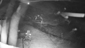 Ski areál Mezihoří Chomutov - Velká sjezdovka - 13.12.2025 v 22:16 Ski areál Mezihoří Chomutov - Velká sjezdovka - 13.12.2025 v 22:16