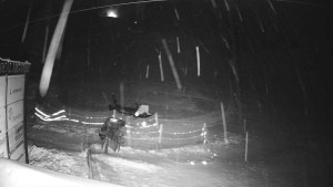 Ski areál Mezihoří Chomutov - Velká sjezdovka - 11.1.2026 v 04:31 Ski areál Mezihoří Chomutov - Velká sjezdovka - 11.1.2026 v 04:31