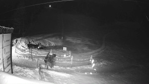 Ski areál Mezihoří Chomutov - Velká sjezdovka - 11.1.2026 v 06:31 Ski areál Mezihoří Chomutov - Velká sjezdovka - 11.1.2026 v 06:31