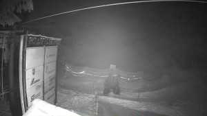 Ski areál Mezihoří Chomutov - Velká sjezdovka - 31.1.2026 v 03:01 Ski areál Mezihoří Chomutov - Velká sjezdovka - 31.1.2026 v 03:01