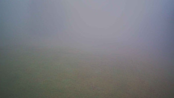 Snímek 8.11.2025 v 07:45