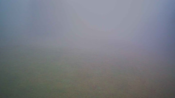 Snímek 8.11.2025 v 08:15