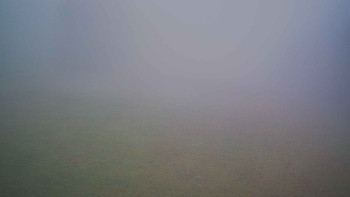 Snímek 8.11.2025 v 08:30