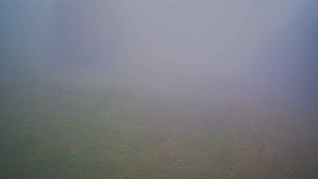 Snímek 8.11.2025 v 09:00