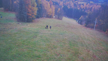 Snímek 8.11.2025 v 14:00