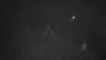 Snímek 9.11.2025 v 19:00