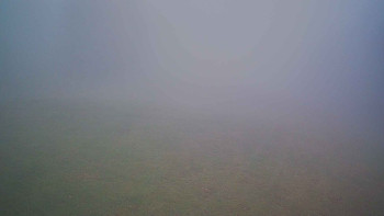 Snímek 15.11.2025 v 11:45