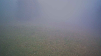 Snímek 15.11.2025 v 14:00