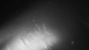 Ski areál Mezihoří Chomutov - Malá sjezdovka - 11.1.2026 v 03:00 Ski areál Mezihoří Chomutov - Malá sjezdovka - 11.1.2026 v 03:00