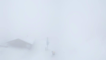 Snímek    3.11.2025 v 13:00