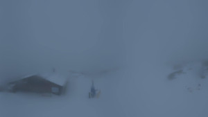 Ski Die Tauplitz - Lawinenstein - 29.1.2026 v 01:15 Ski Die Tauplitz - Lawinenstein - 29.1.2026 v 01:15