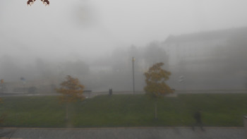 Snímek 5.11.2025 v 07:16