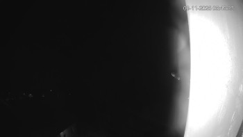 Snímek    3.11.2025 v 05:45