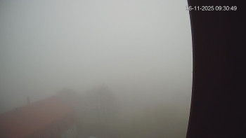 Snímek 6.11.2025 v 09:30