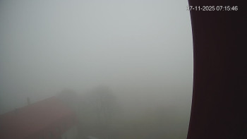 Snímek 7.11.2025 v 07:15