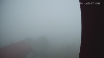 Snímek 7.11.2025 v 07:30