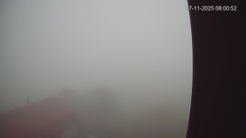 Snímek 7.11.2025 v 08:00