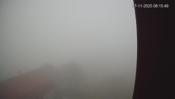 Snímek 7.11.2025 v 08:15