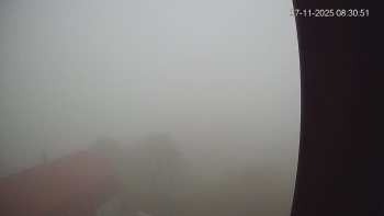 Snímek 7.11.2025 v 08:30