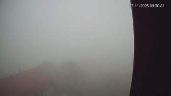 Snímek 7.11.2025 v 09:30