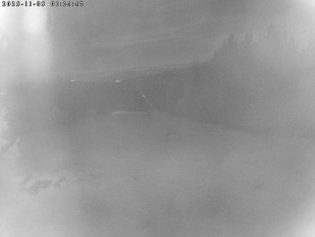 Snímek 5.11.2025 v 01:15