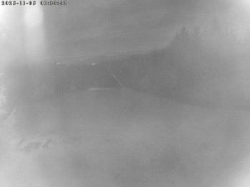 Snímek 5.11.2025 v 01:30