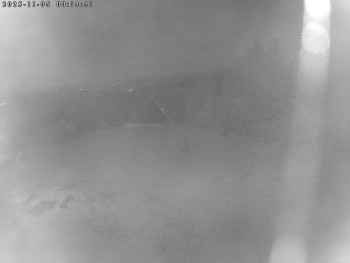 Snímek 6.11.2025 v 00:15