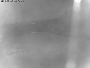 Snímek 6.11.2025 v 01:15