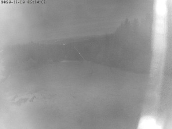 Snímek 6.11.2025 v 02:15