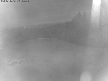 Snímek 6.11.2025 v 02:45