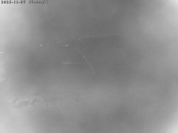 Snímek 7.11.2025 v 17:45