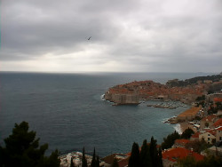 Staré město, přístav