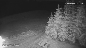 Snímek 19.11.2025 v 22:00