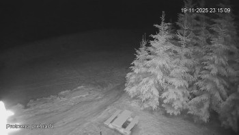 Snímek 19.11.2025 v 23:15