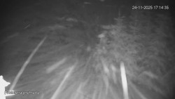 Protržená přehrada