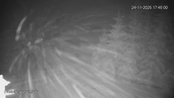 Protržená přehrada