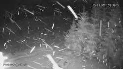 Protržená přehrada