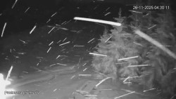 Protržená přehrada