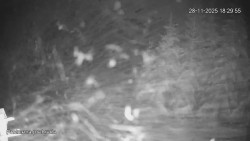 Protržená přehrada