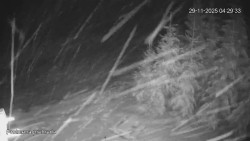 Protržená přehrada